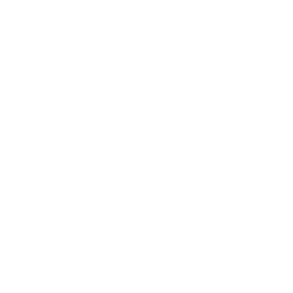 Dräxlmaier Lieferservice